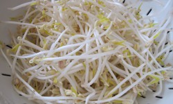 Giá đỗ – thực phẩm giúp bé tăng cân bất ngờ