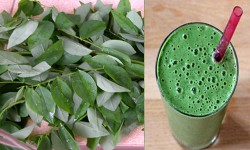 [Món ngon cho bé] – Rau ngót