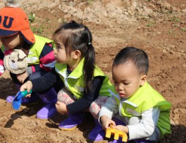 Eduplay Garden tổ chức Hoạt động ngoại khóa Gardening- làm vườn cho các bé lớp Kiwi và Cherry