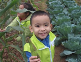 Eduplay Garden- nói KHÔNG với thực phẩm bẩn!