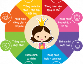 HIỂU ĐÚNG VỀ ĐA TRÍ TUỆ