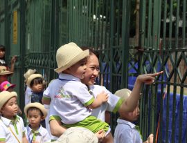 NÊN CHO TRẺ ĐI HỌC SỚM HAY KHÔNG