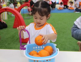 Cha mẹ cần phải làm gì để rèn luyện, cải thiện IQ của con mình?